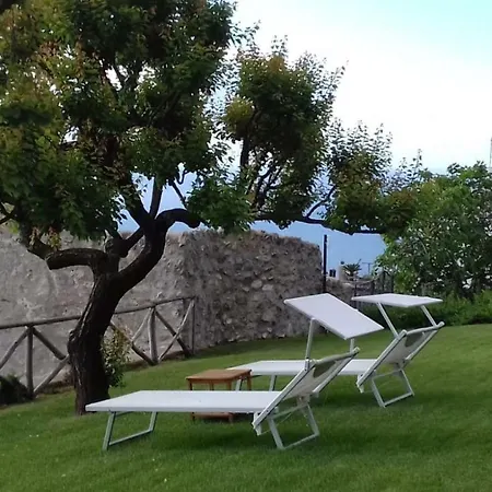 Eleanor' S Garden *