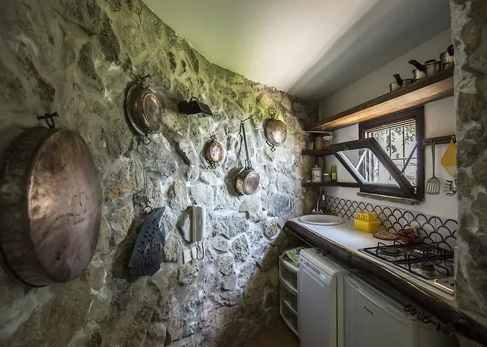 Pensión Eleanor' S Garden